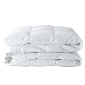 Bassetti Piumino Invernale 20 Piumino e 80 Piumetta